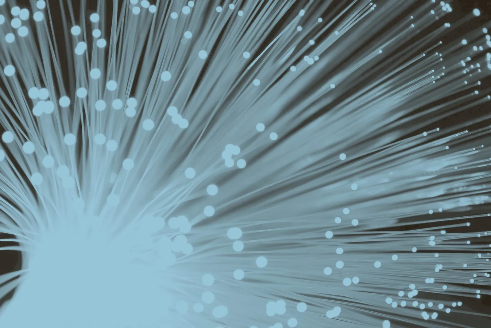 Fibre optic strands gathered into a bundle, their ends lit